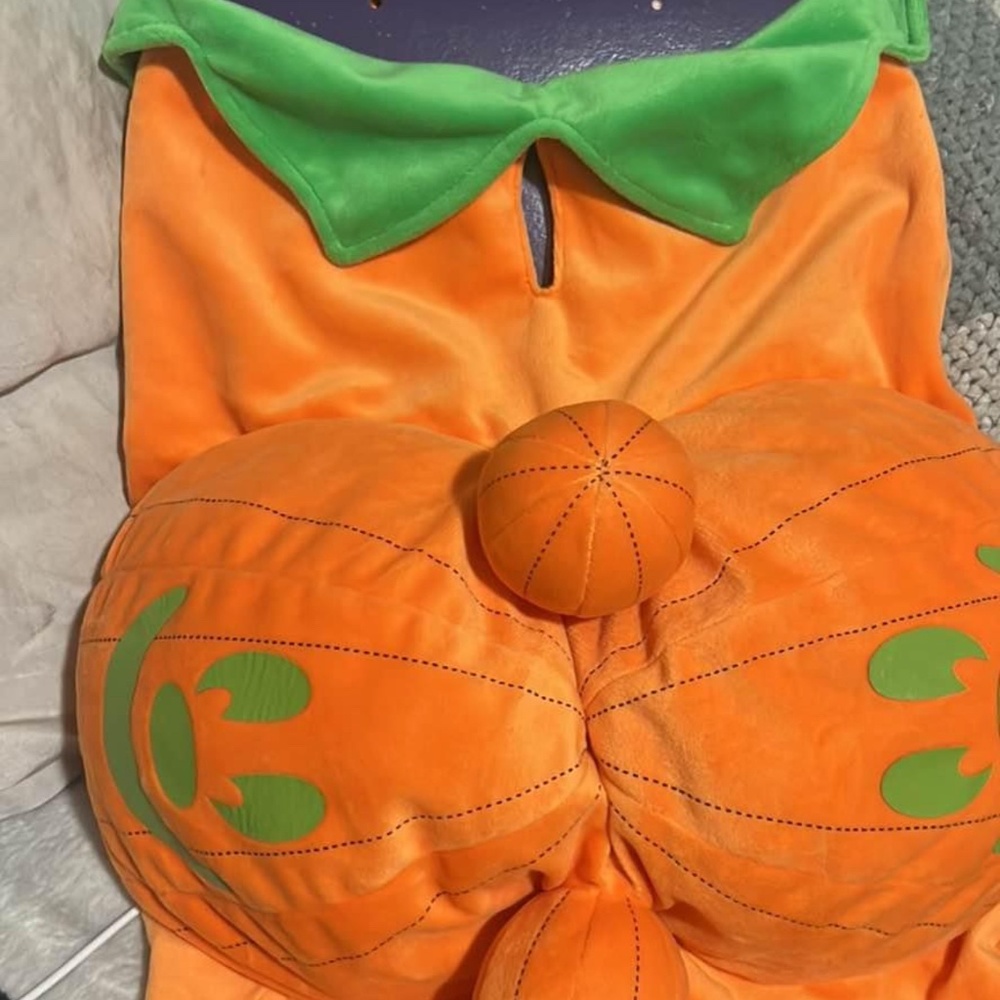 Disney pumpkin pet Halloween costume